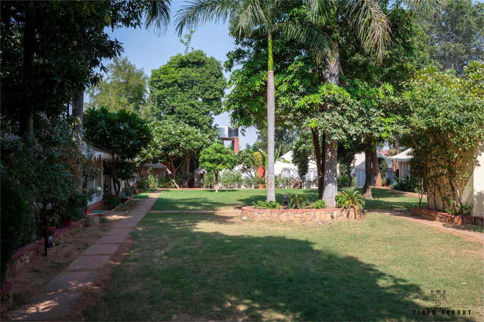 Ranthambore Tiger Resort ساواي مادهوبور المظهر الخارجي الصورة